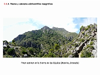 AtlasVegetacion 1 Bosques 086-1 Pinares-sabinares topograficos