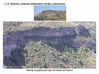 AtlasVegetacion 1 Bosques 092 Sabinar paleoacantilado