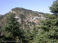 1 Comarca Sierra de las Nieves